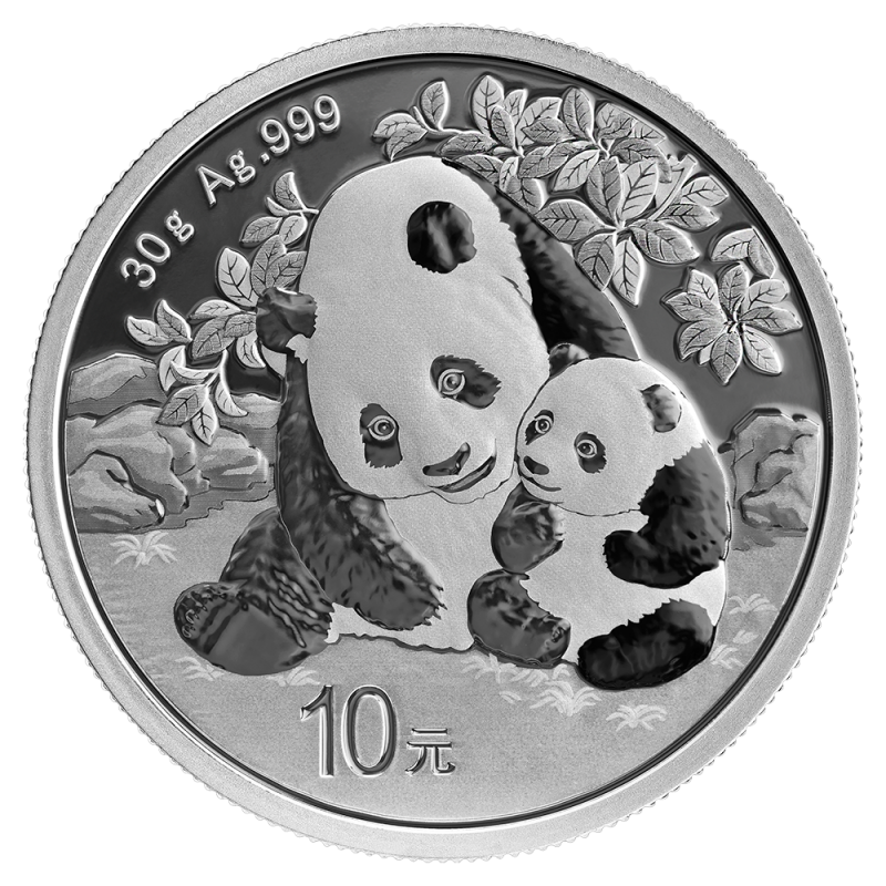 Chińska Panda 30 g Srebra 2024