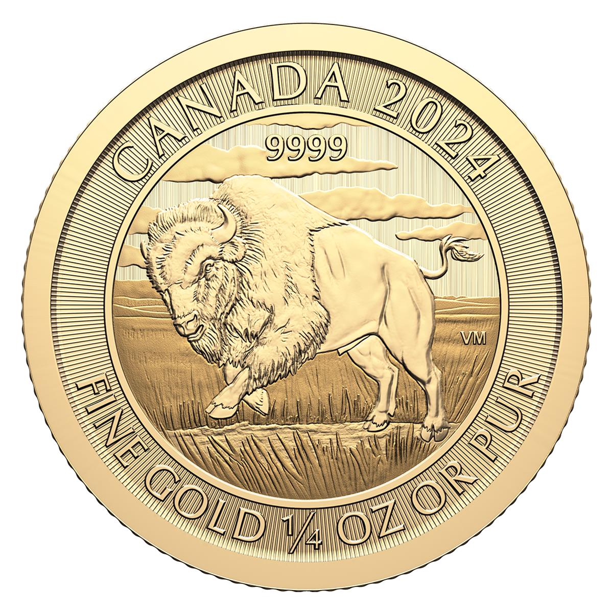 Canada Bizon 1/4 uncji złota 2024
