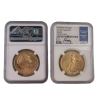 american eagle 1oz slab 2