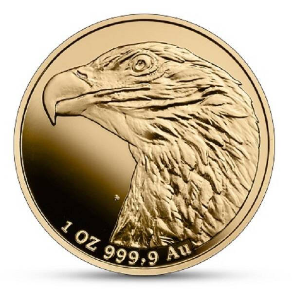 pol_pl_Zlota-Moneta-Orzel-Bielik-2023r-1-uncja-500zl-24h-Produkt-Kolekcjonerski-1461_1