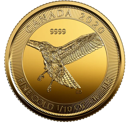 royal canadian mint 1/4 oz au 2021 Red Tailed Hawk