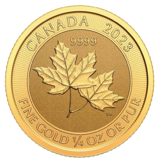 Canada Twin Maples 1/4 uncji złota 2023 z latami panowania Elżbiety II